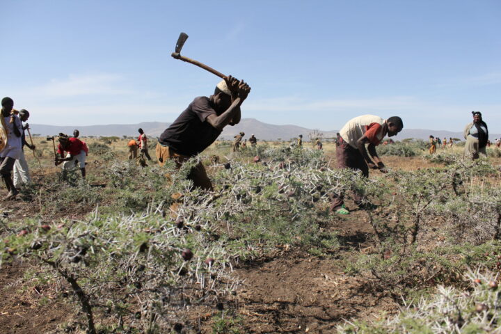 Reinforce climate & conflict resilience