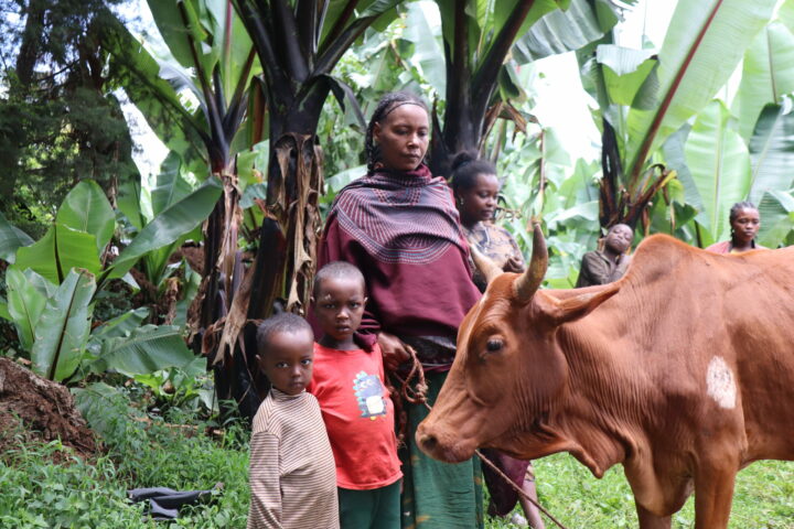 Supporting livelihoods