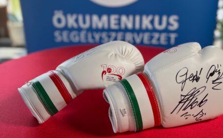A dedikált kesztyűk.