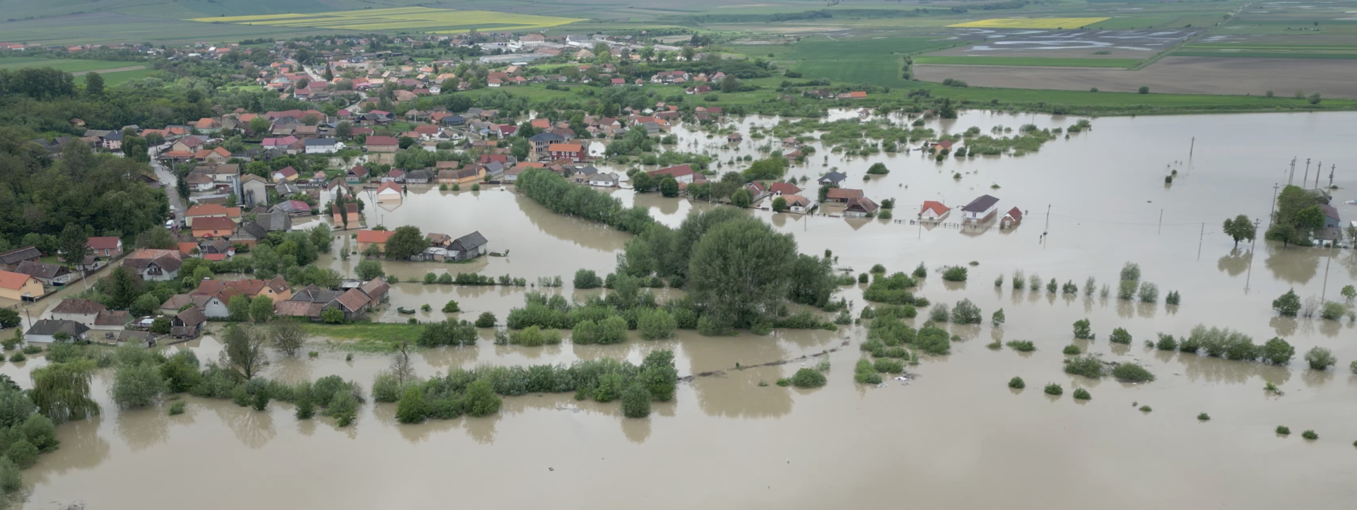 ökumenikus segélyszervezet